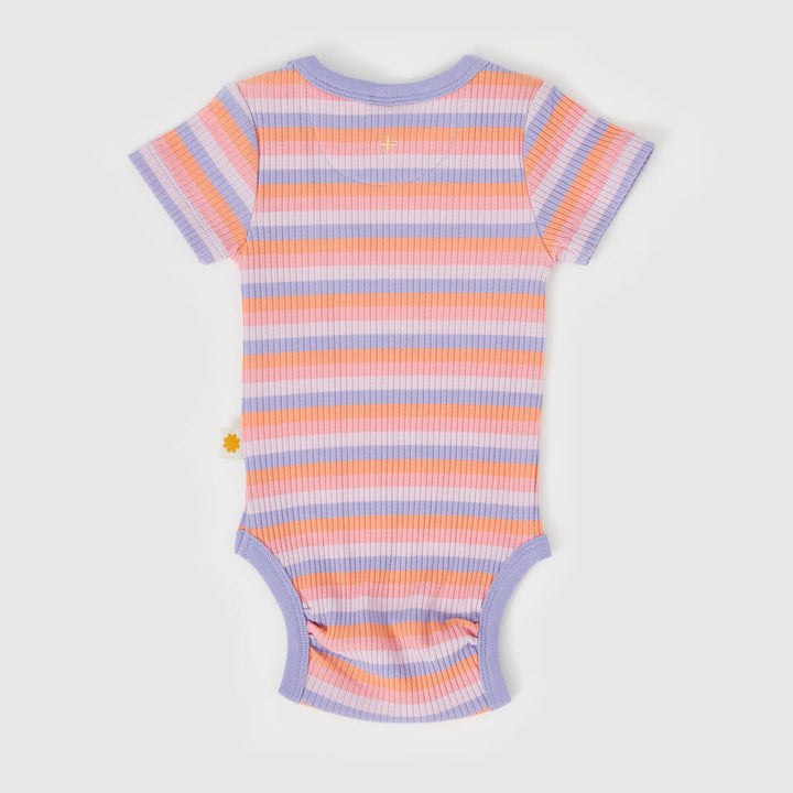 Bodysuit | Tutti Frutti Stripe - Purple Multi