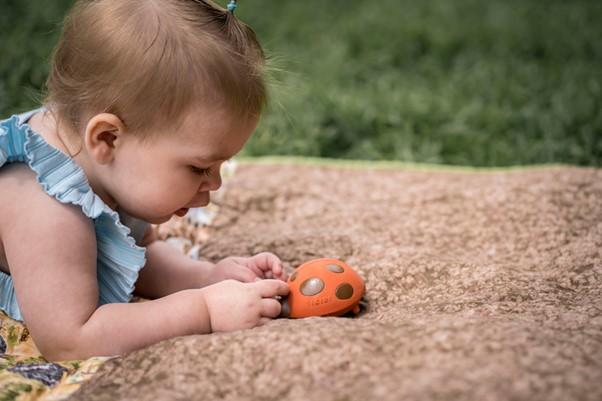 Tikiri Buddies - Garden - Ladybird