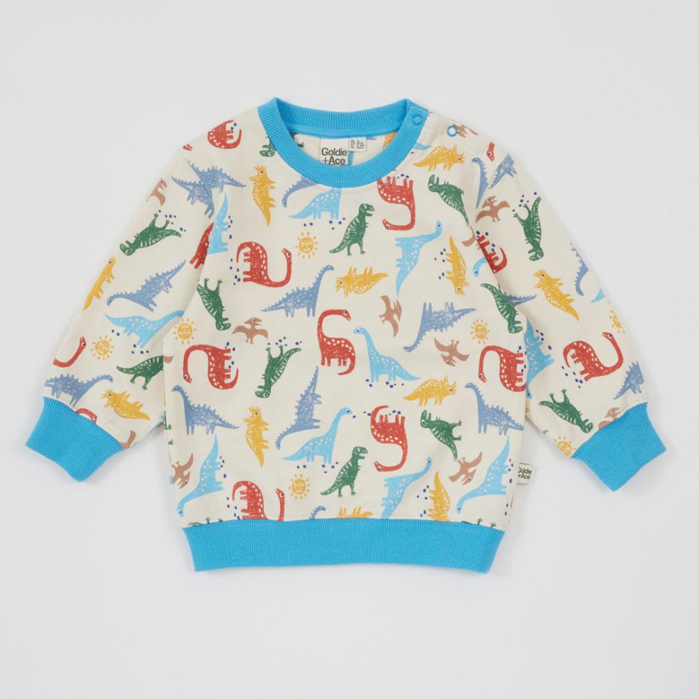 Sweater | Relaxed Terry - Dino-Mite