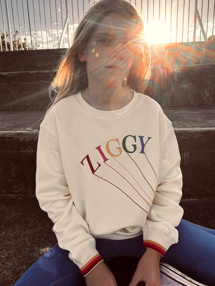 Sweater | Ziggy