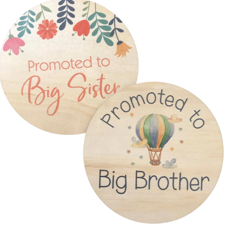 Plaque | Promoted to Big - Sister/Brother