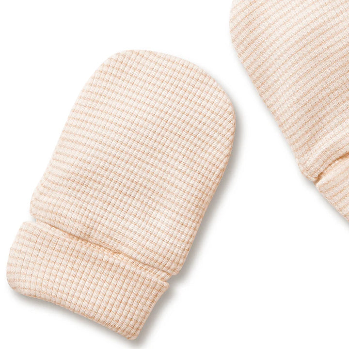 Mittens | Stripe Rib - Cantaloupe