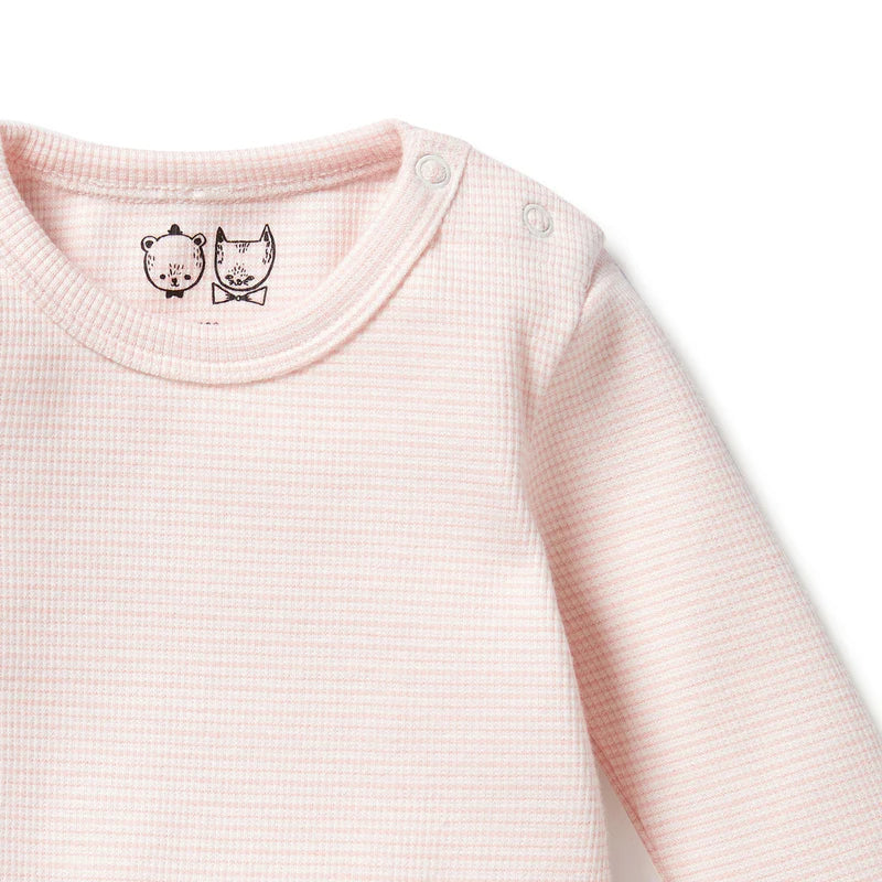 Bodysuit | Organic Long Sleeve - Cantaloupe