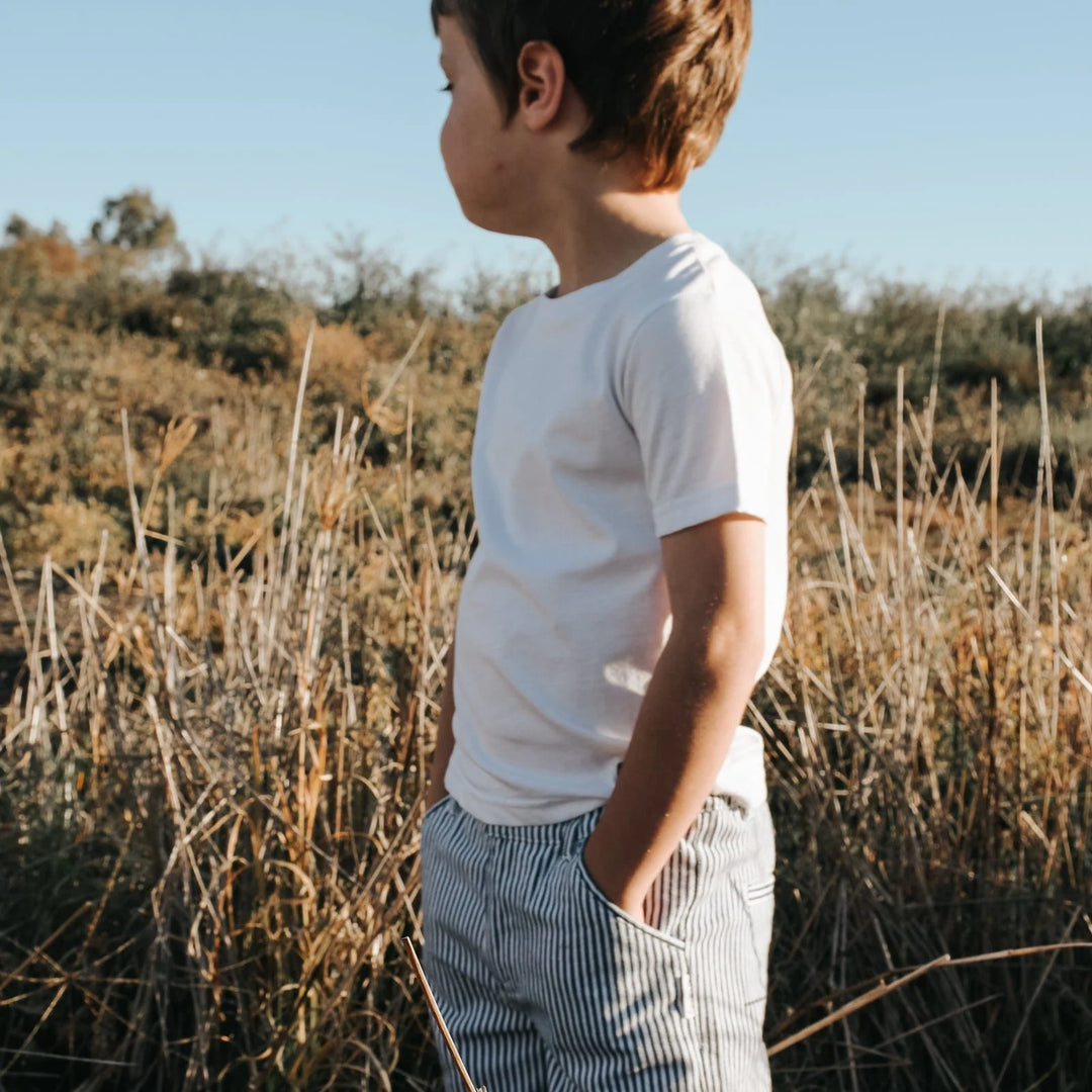 Shorts - Navy Pinstripe