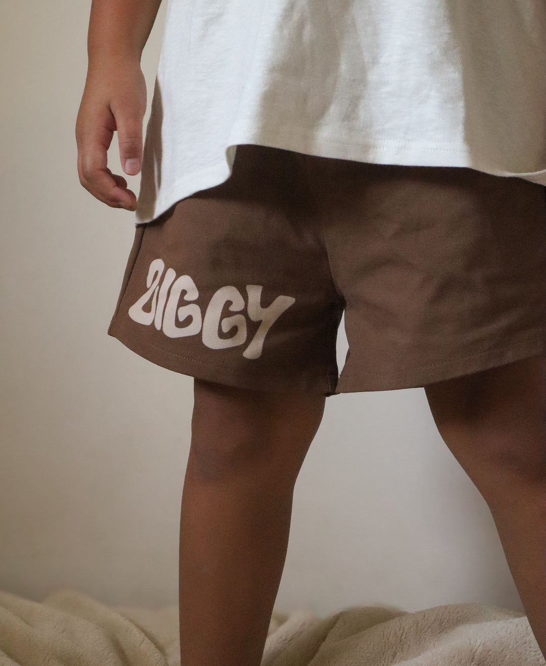 Shorts | Canvas - Ziggy